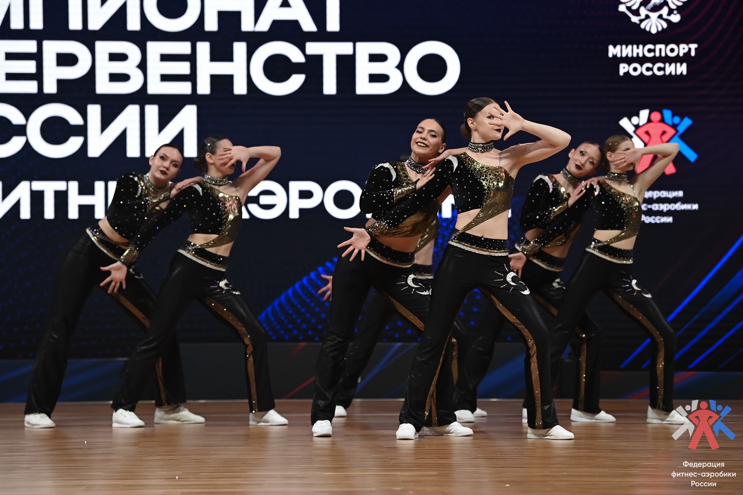 Фитнес-аэробика