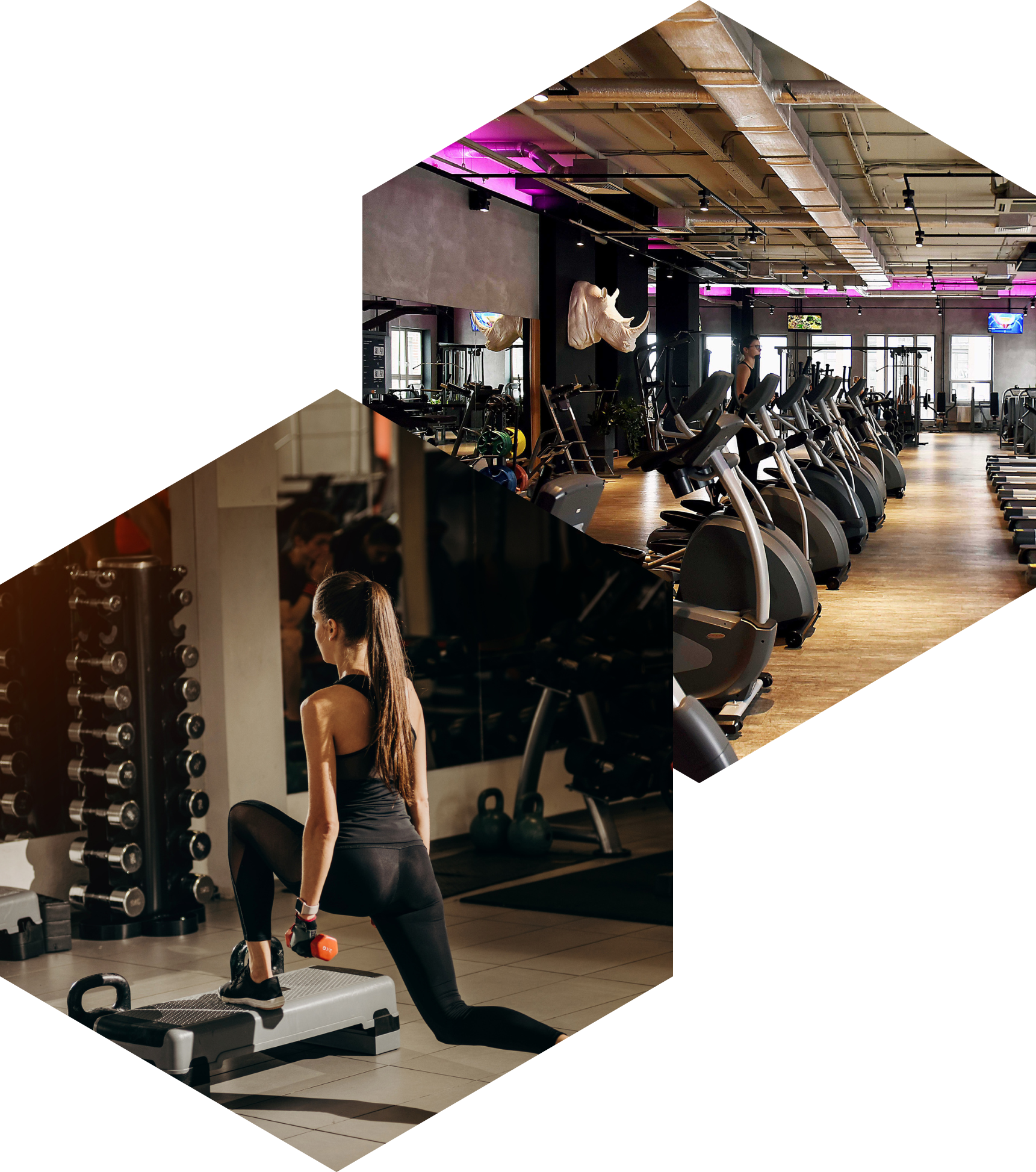 Полухина Татьяна Григорьевна